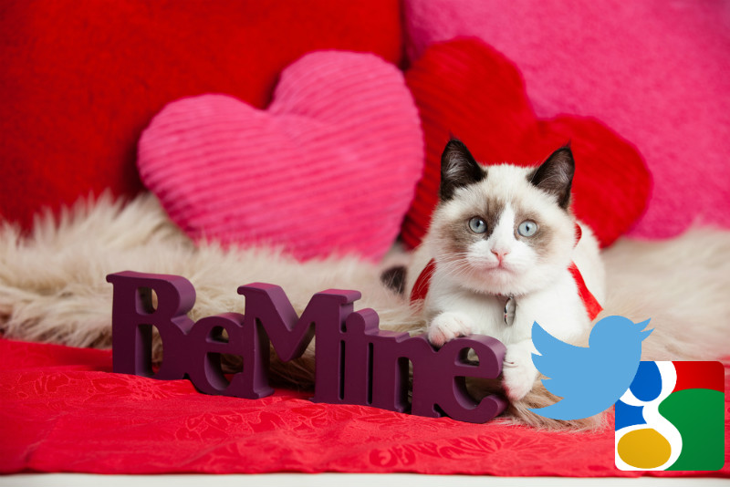Google & Twitter get it together just in time for Valentine's Day
